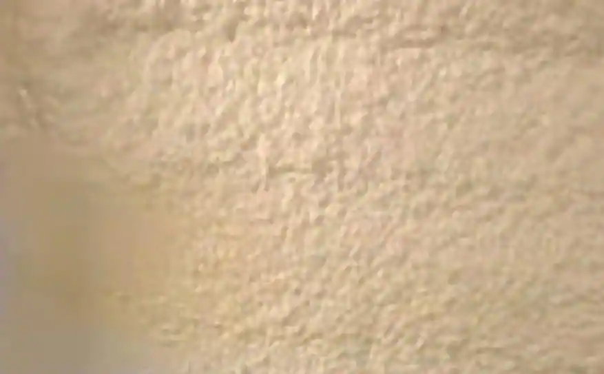 wet spray cellulose- spray foam insulation